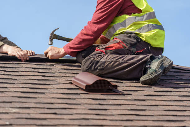 Best Roof Gutter Cleaning  in New Burlington, OH